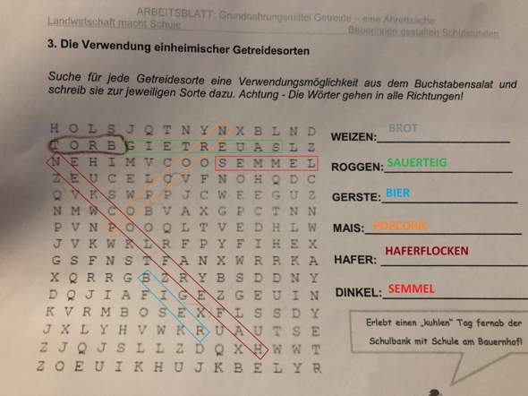 Bild zum Beitrag