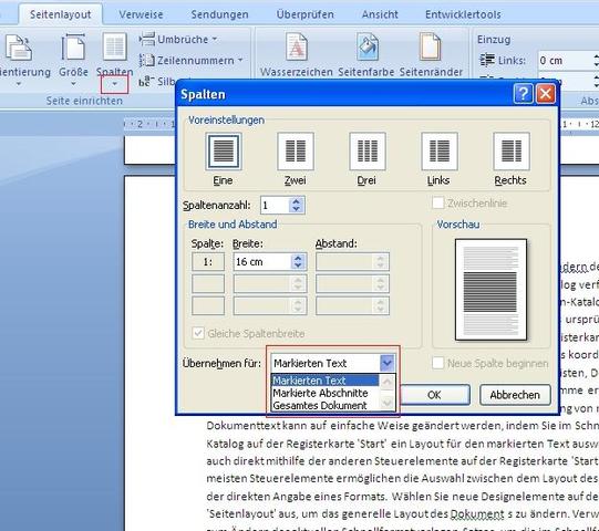Spalten einrichten Word 2007 - (Computer, Microsoft, Microsoft Word)