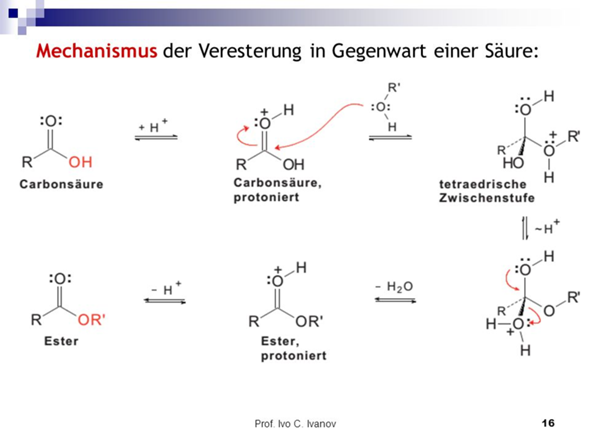 Chemie Reaktionen / Verseifung? (Schule, Unterricht, Reaktionsgleichung)