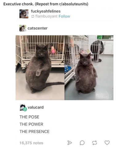It S Finally Friday So Enjoy A Big Batch Of Funny Memes And Random
