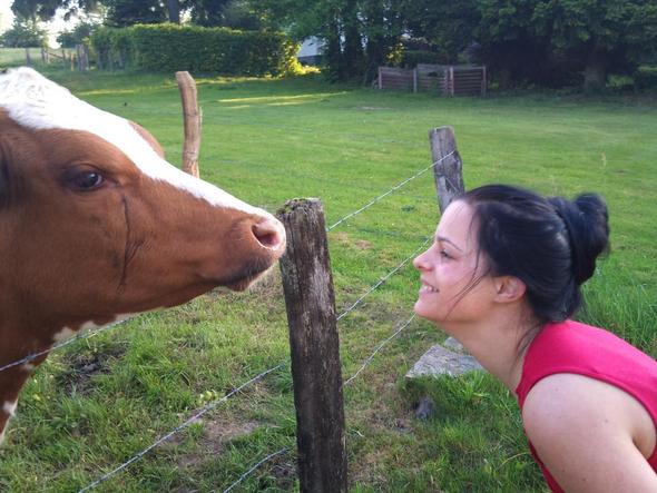 .... - (Tiere, Angst, Hund)