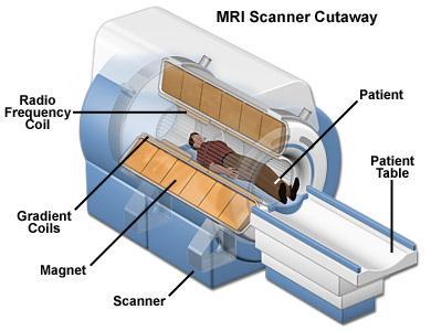 Spulen (MRI) : http://www.magnet.fsu.edu/education/tutorials/magnetacademy/m - (Schule, Elektronik, Spule)