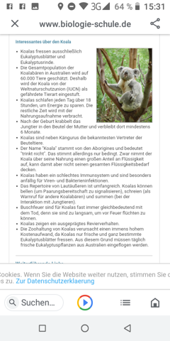 Steckbrief Stichworte Oder Ganze Satze Schule Biologie