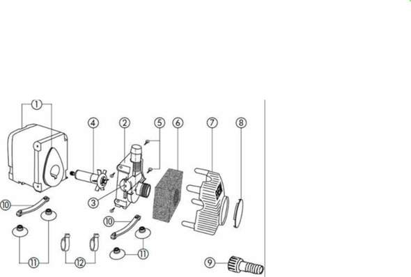 Die Pumpe von meinem Aquarium quietscht die ganze Zeit, was tun?