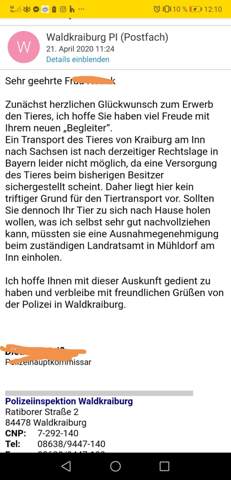 Bild zum Beitrag