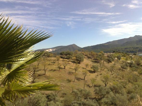 Landschaft bei Ronda - (Urlaub, Pferde, Reiten)
