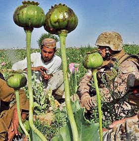 USA kassiert 95% des Welt-Opiums in Afghanistan - (Geschichte, USA, Imperialismus)