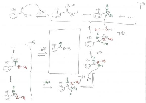 Reaktionsschema Veresterung Salicylsäure/Methanol - (Chemie, Hausaufgaben, Reaktionsgleichung)
