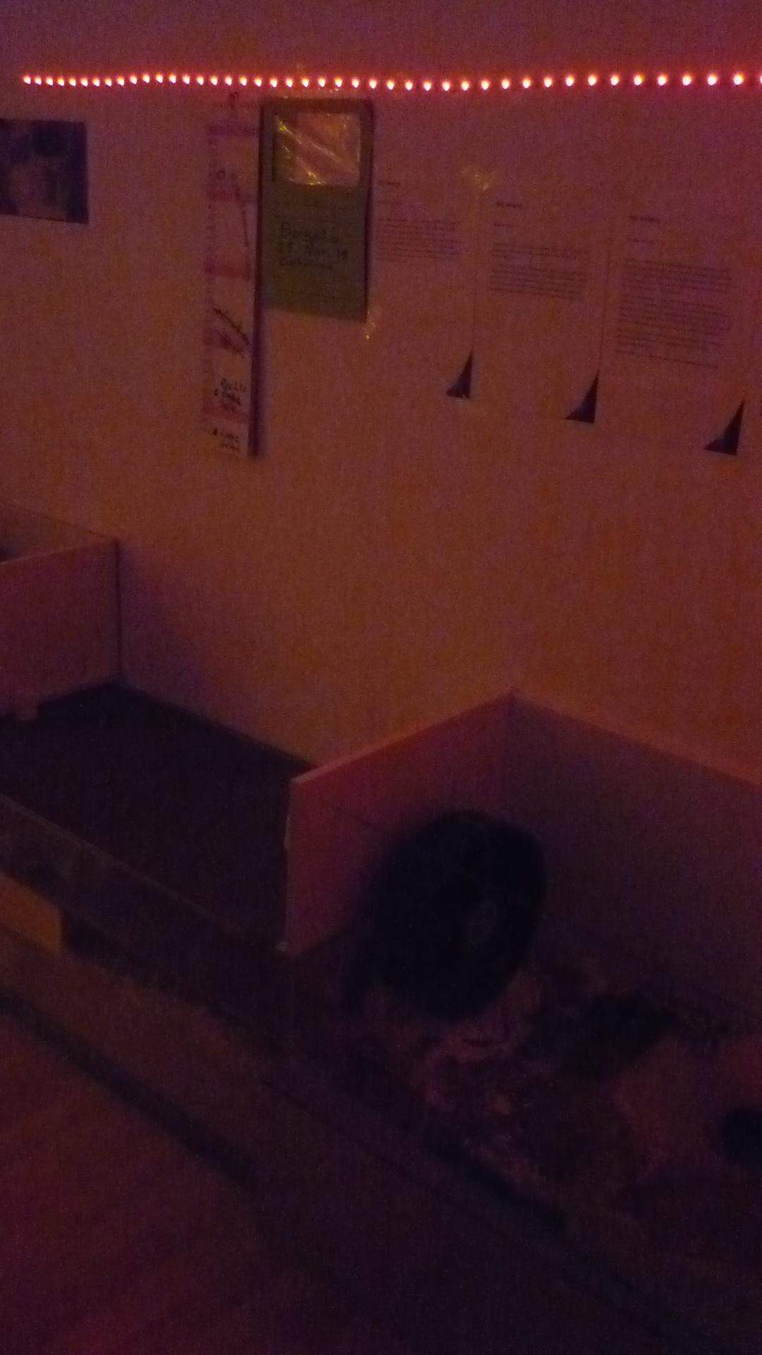 LEDs an Hamsterkäfig? (Elektronik, Hamster, LED)