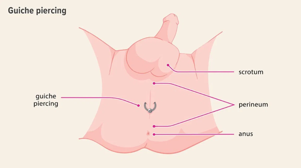 Wieso Tut Es Gut Wenn Dort Unten Am Hoden Drucke Gesundheit Und Medizin Pubertat Wieso Tut Es Gut Wenn Dort Unten Am Hoden Drucke Gesundheit Und Medizin Pubertat