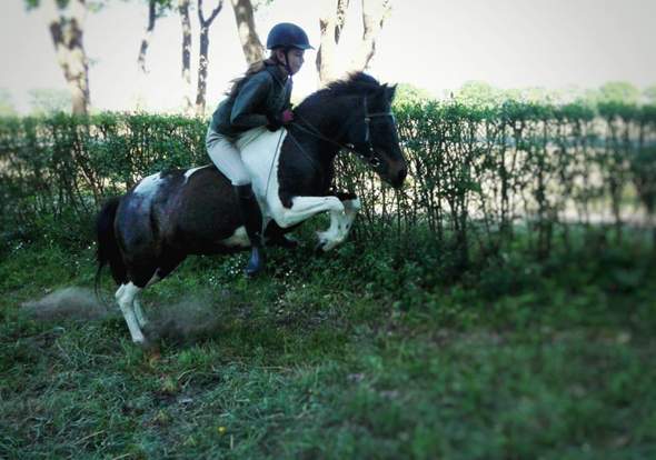  - (Sport und Fitness, Pferd, Reiten)