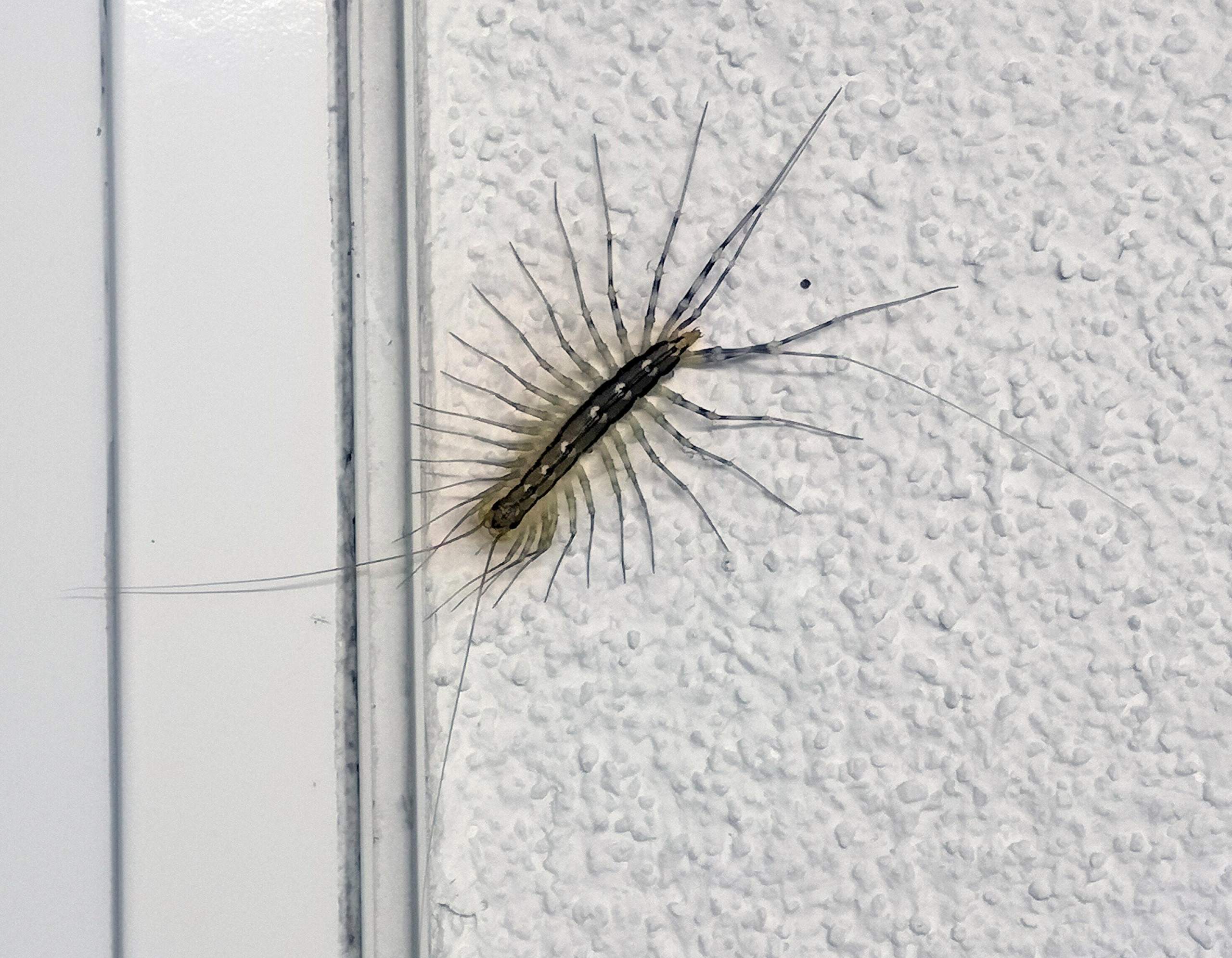 Was für ein Tier ist das? (Tiere, Natur)