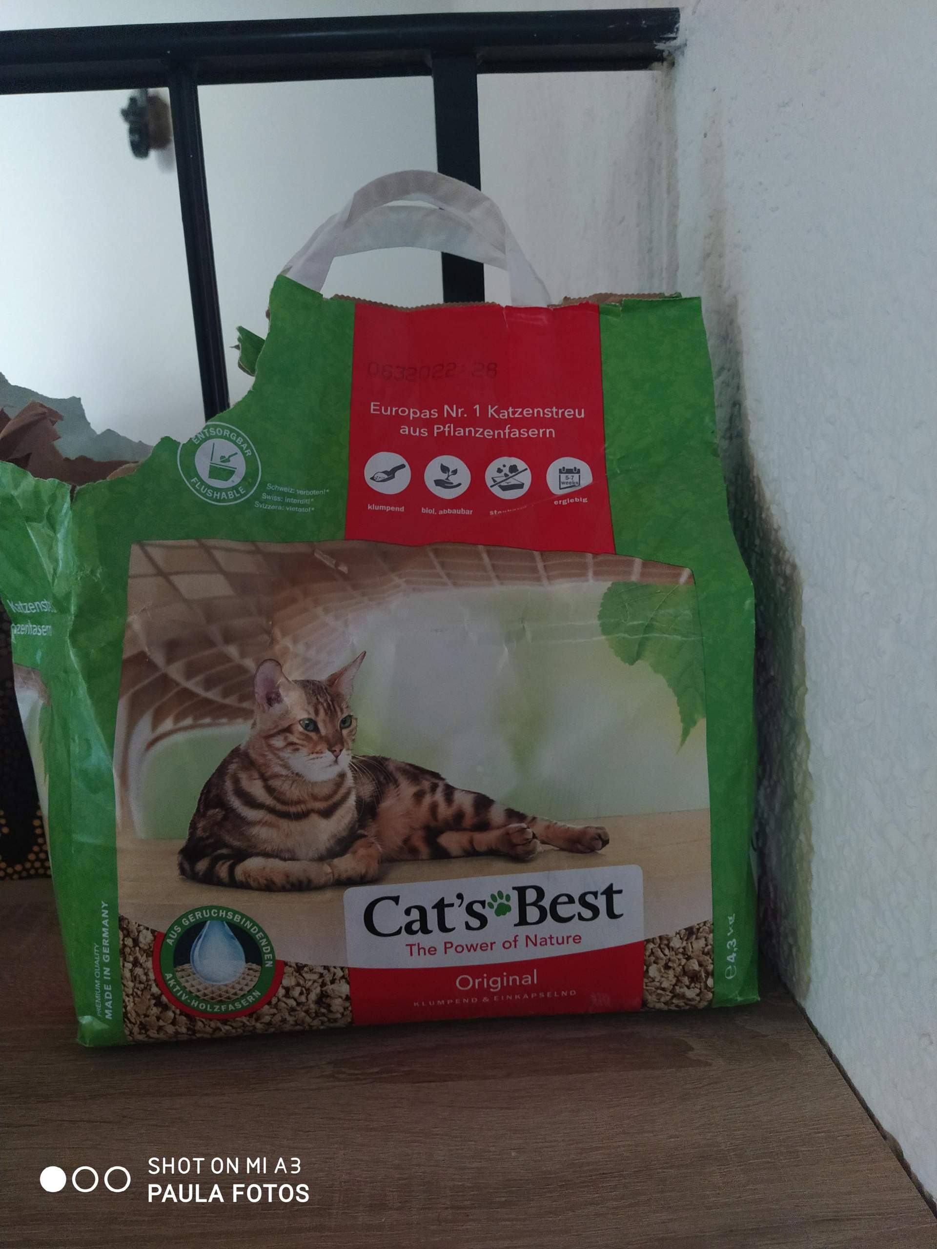 Welches Katzenstreu bindet am besten Gerüche und verteilt sich nicht in