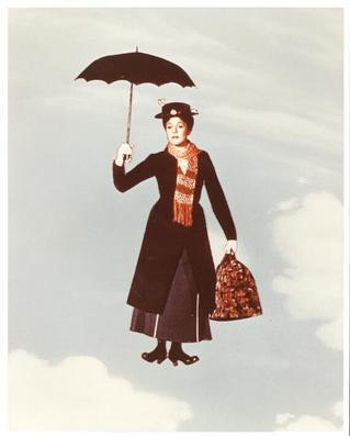 Marry Poppins - (Niederlande, Sauberkeit)