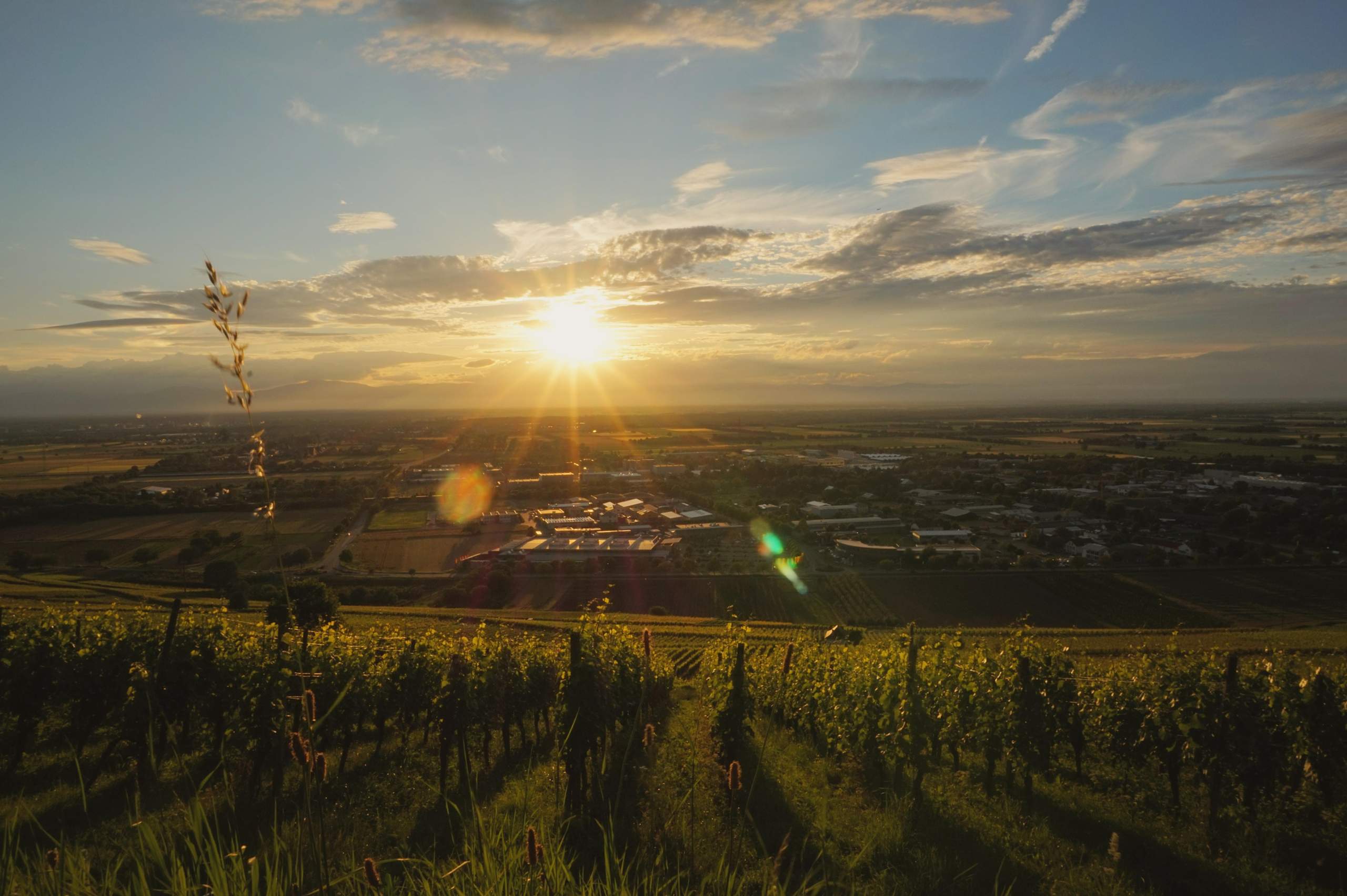 Wodurch entstehen die Lichtstreifen auf diesem Foto? (Physik ...
