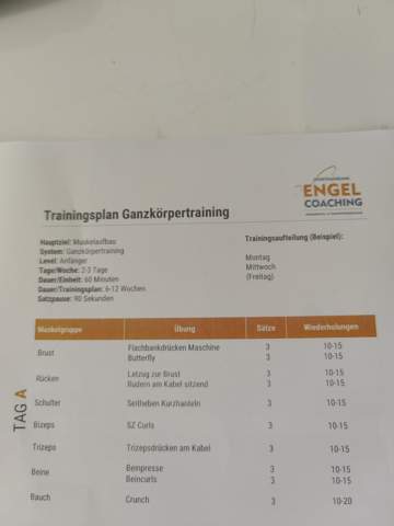 Bild zum Beitrag