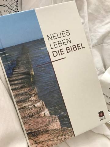 Bild zum Beitrag