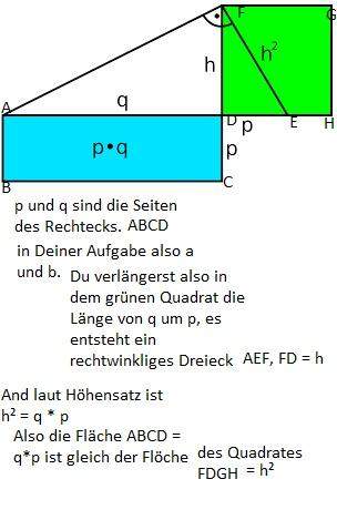 - (Schule, Mathematik)