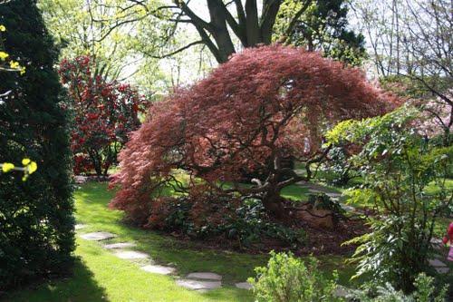 Japanischer Garten Leverkusen - (Freizeit, Natur, wandern)