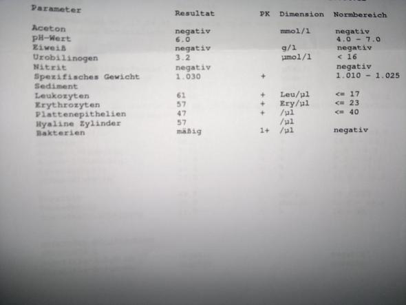 Werte - (Gesundheit, Medizin)