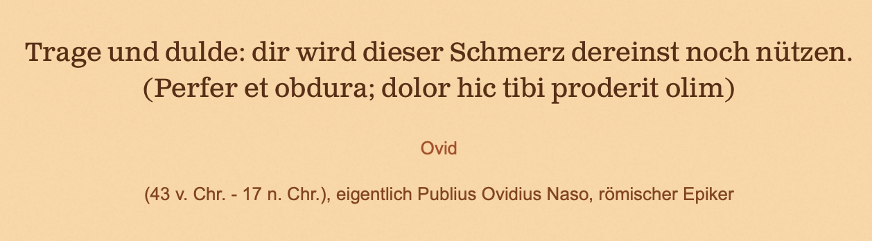 Perfer et obdura! Dolor hic tibi proderit olim? (Leben, Sprache
