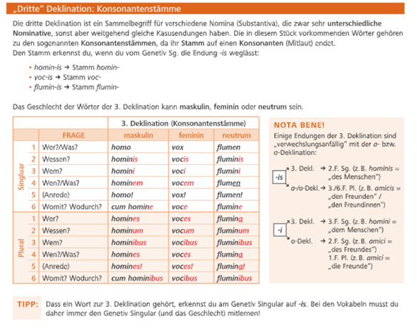 latein-konsonantische-deklination-schule-sprache