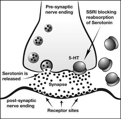 SSRI vereinfacht - (Gesundheit, Funktion, Gehirn)