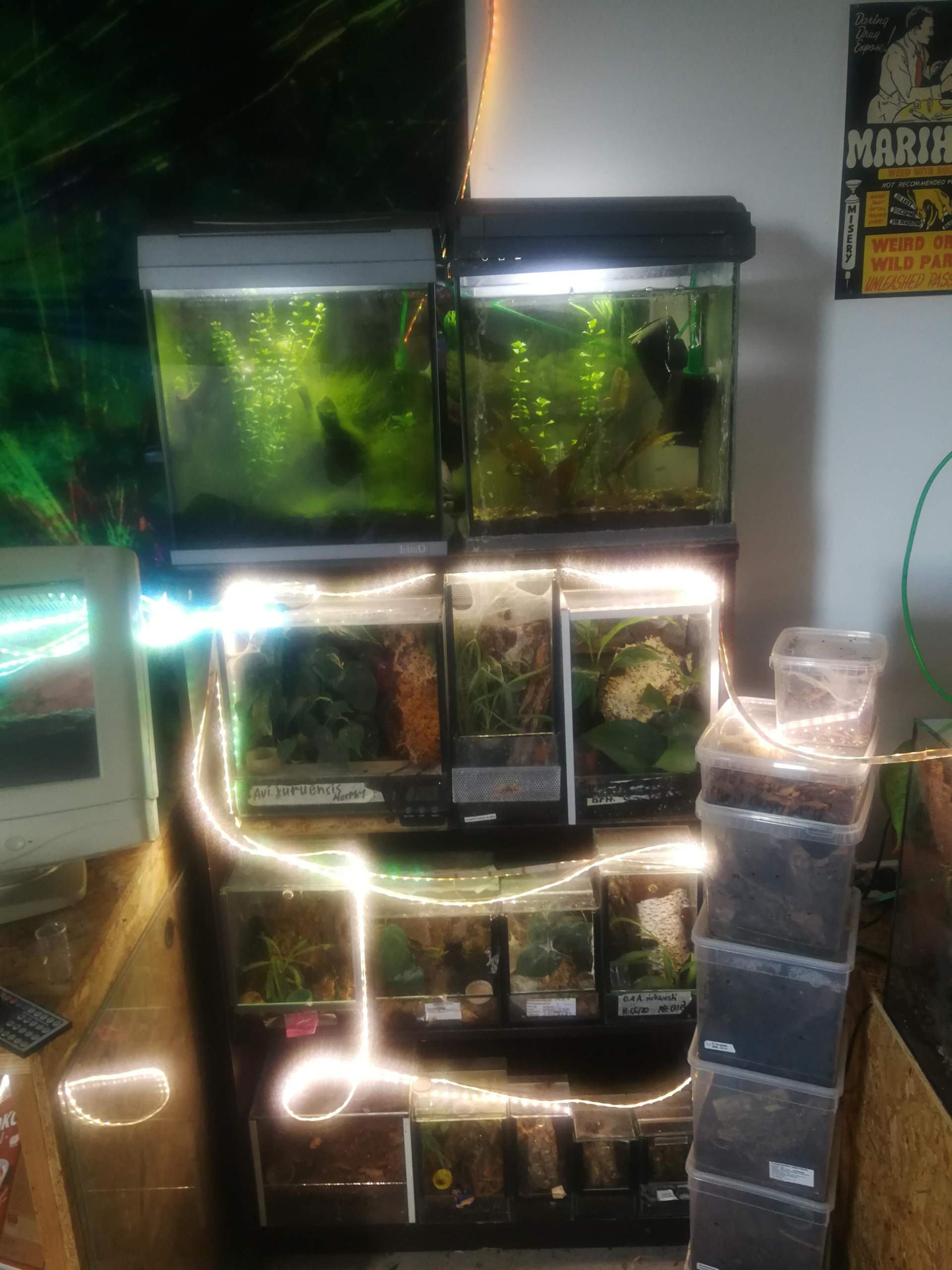Welche Regale eignen sich fürs Aquarium und Terrarium? (Tiere, Fische