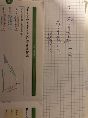 Bild zum Beitrag
