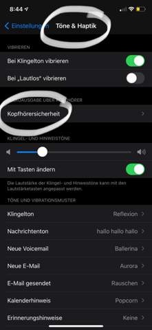 Bild zum Beitrag
