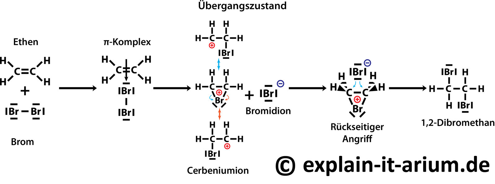 Chemie elektrophile Addition? (Schule, Ausbildung und Studium)