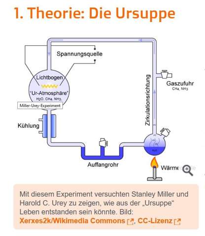 Bild zum Beitrag