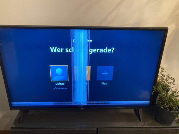 Bild zum Beitrag