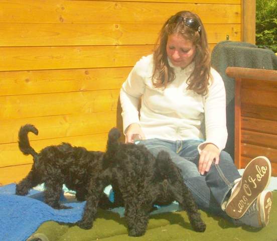 ab wann darf ein welpe kontakt zu anderen hunden haben