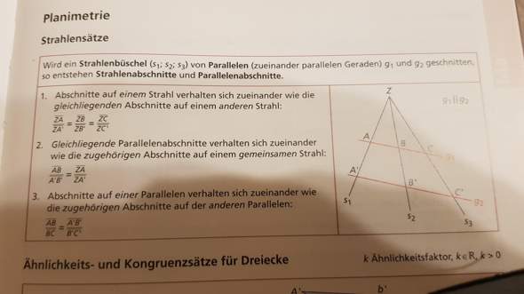 Bild zum Beitrag