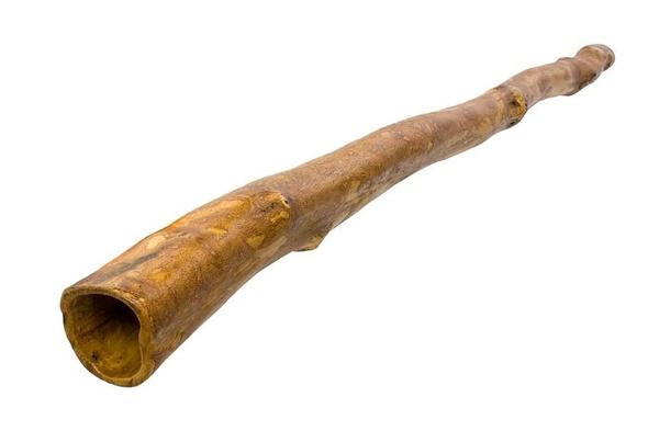 Didgeridoo - (schlafen, Tricks, schnarchen)