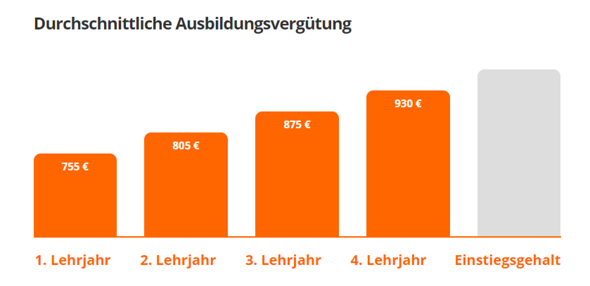 Wie Viel Verdient Man Als Elektroniker In Der Ausbildung