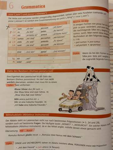 Bild zum Beitrag