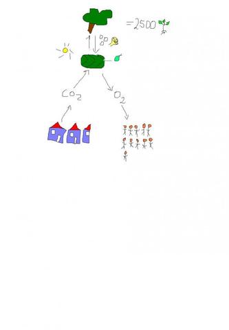 Was Ist Ein Fliessdiagramm Und Wie Sieht Es Aus Schule Mathe Mathematik