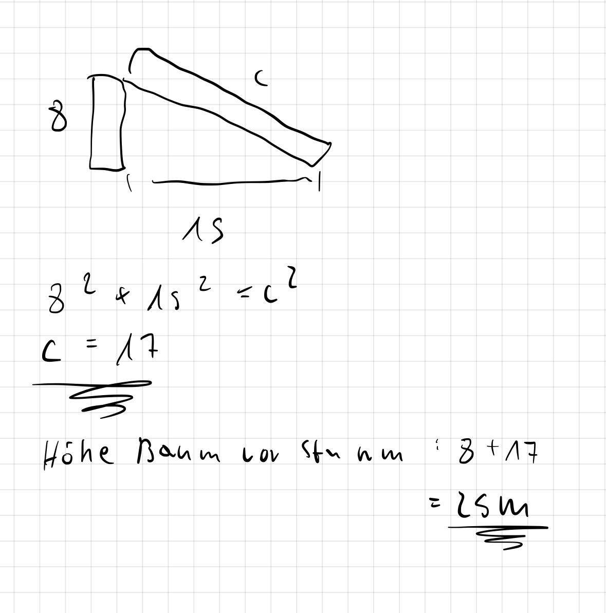 Satz des Pythagoras Aufgabe? (Schule, Mathematik