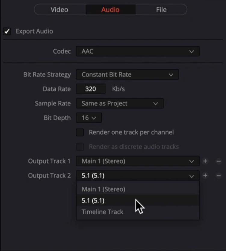 davinci resolve 17 supported codecs