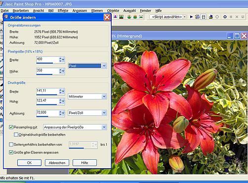 Passfoto ändern Passfoto ändern