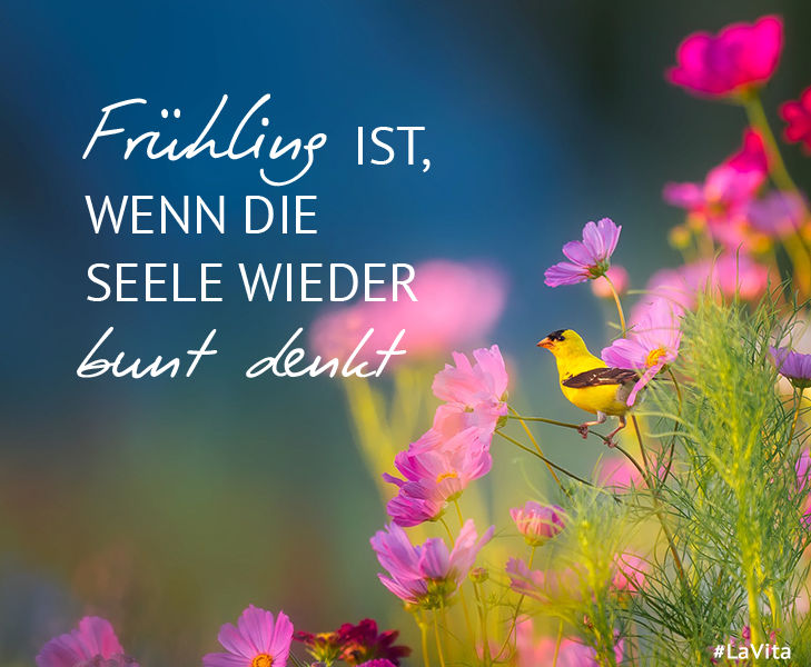 Freut Ihr Euch auch schon unbändig auf den Frühling? (Freude, Jahreszeiten)