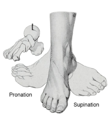 Was ist Pronation und Supination (Badminton)? (Sport)