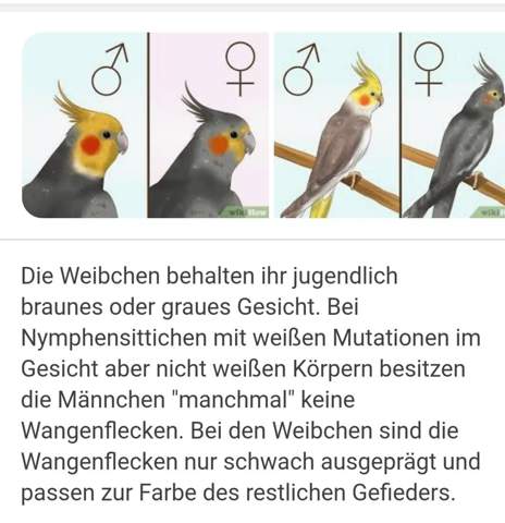 Bild zum Beitrag
