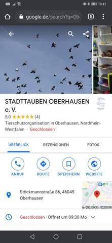 Bild zum Beitrag