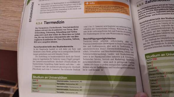 Bild zum Beitrag