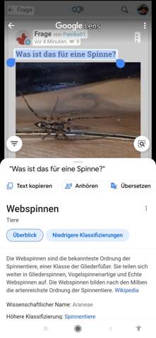Bild zum Beitrag
