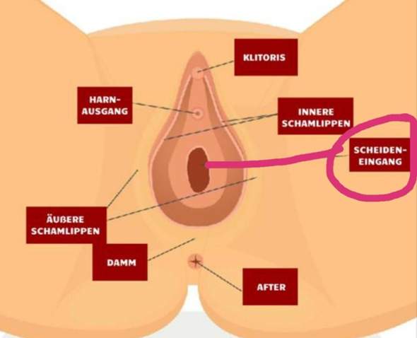 Wie Kriege Ich Einen Tampon Rein Periode Wie Kriege Ich Einen Tampon Rein Periode