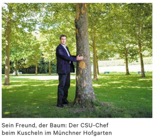Bild zum Beitrag